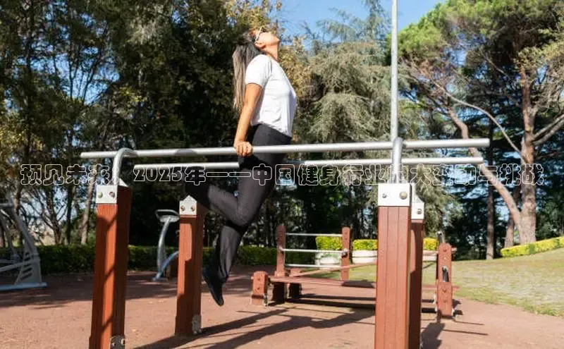 天生赢家凯发一触即发小说